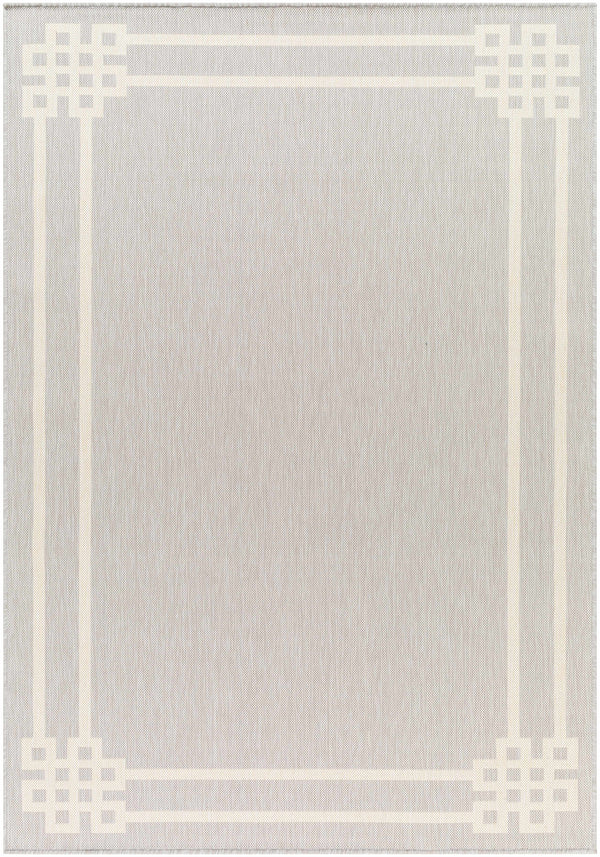 Ilori Light Gray Area Rug