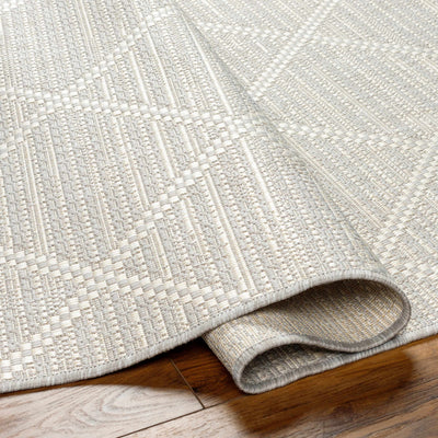 Ivora Cream Area Rug