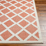 Akuna Orange Performance Rug - Clearance