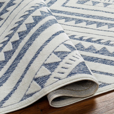 Alida Blue Outdoor Rug - Clearance