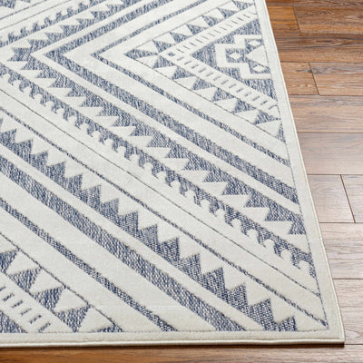 Alida Blue Outdoor Rug - Clearance