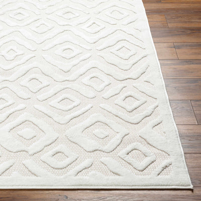 Burl Cream Outdoor Rug - Clearance