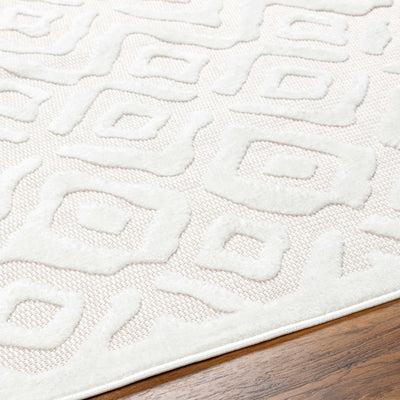 Burl Cream Outdoor Rug - Clearance