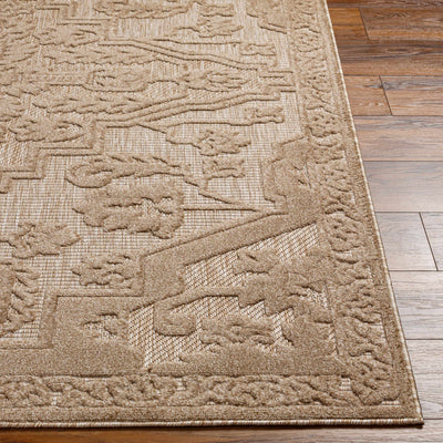 Chen Tan Outdoor Rug - Clearance