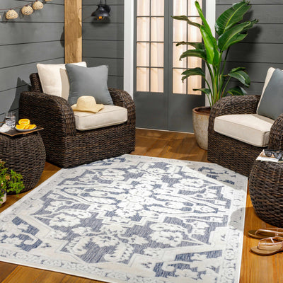 Chen Blue Outdoor Rug - Clearance