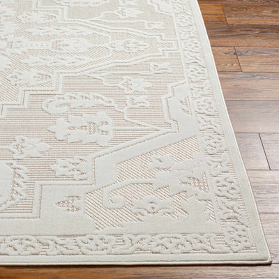 Chen Cream Outdoor Rug - Clearance