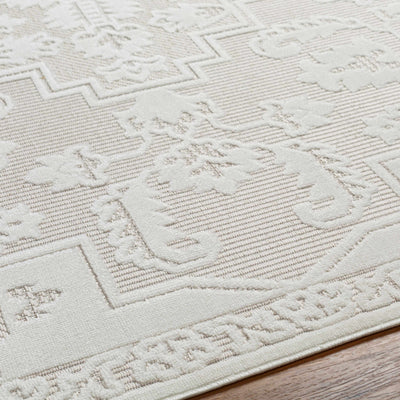 Chen Cream Outdoor Rug - Clearance