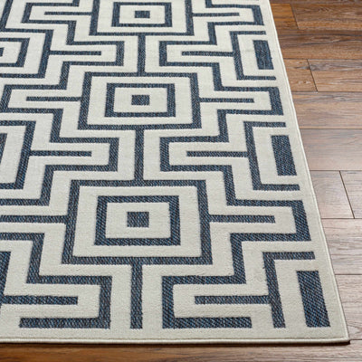 Zevi Blue Outdoor Rug - Clearance