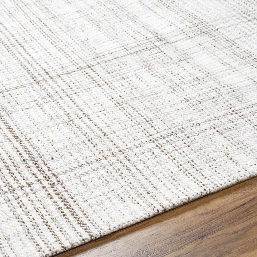 Close-up of the hand woven Jezel Beige Area Rug showing texture and subtle farmhouse style pattern. Texture