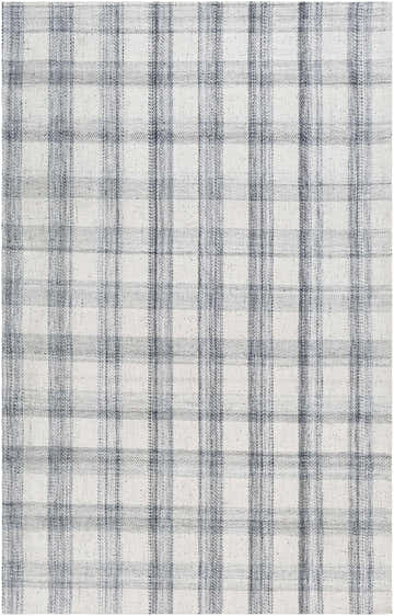 Close-up of the Leeba Gray Plaid Area Rug, a hand-woven rug with a farmhouse style plaid pattern in gray and white. Design-Rectangle-576