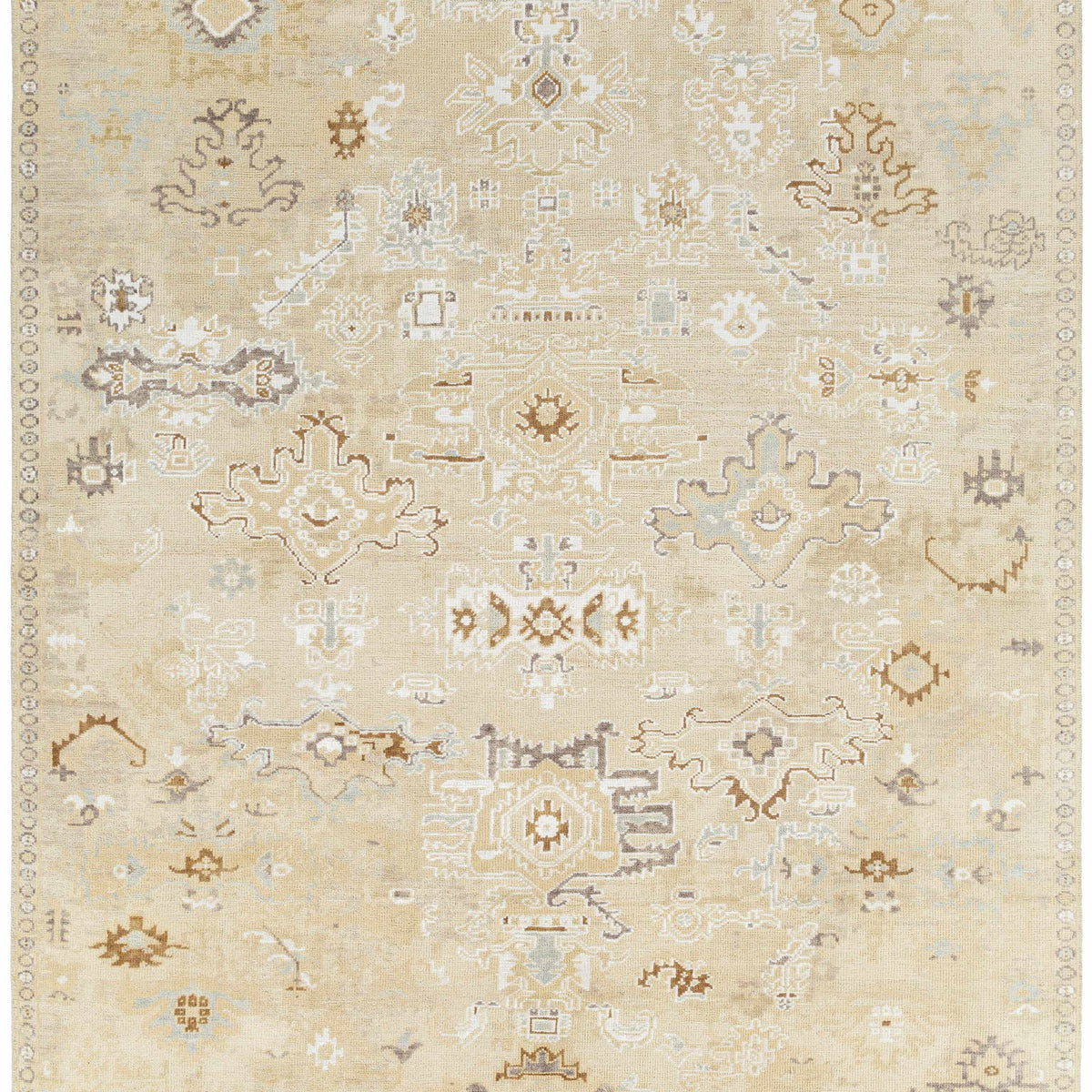 Danyl Area Rug - Clearance – Boutique Rugs