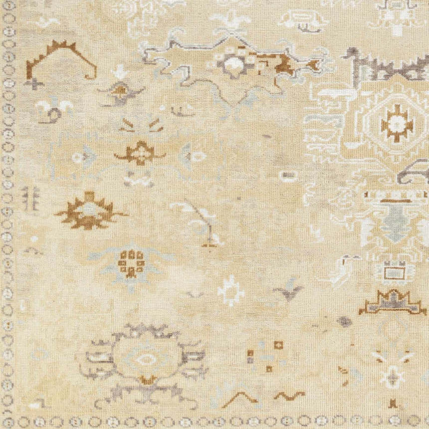Close up of the hand-knotted Danyl Area Rug. Traditional, vintage design in taupe, white, and brown wool. Swatch