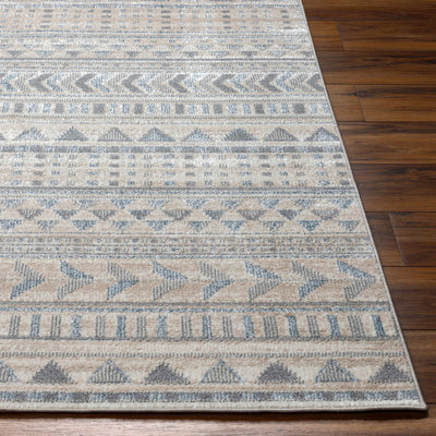 Beige Gray Chipo Area Rug - Clearance