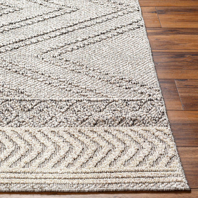 Beige Gray Areli Area Rug