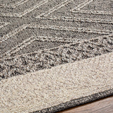 Areli Beige / Brown Outdoor Rug