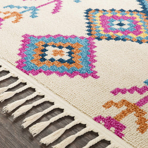 Stapleton 9x12 White Tassel Rug - Clearance