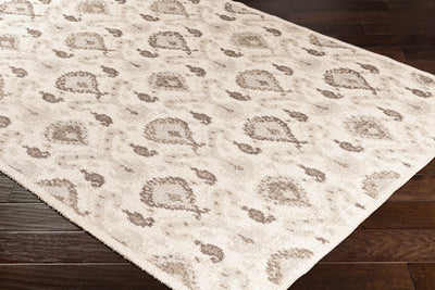 Steens 2x3 Small Rug - Clearance