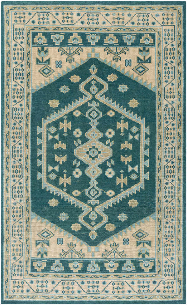 Detailed aqua and beige Stepps Area Rug with traditional, hand-knotted Oriental design. 100% Wool. Design-Rectangle-576