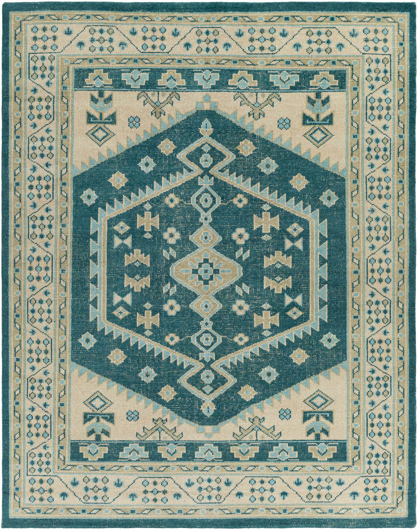 Detailed view of the Stepps Area Rug, showcasing its aqua, beige, and sage bohemian design and hand-knotted wool texture. Design-Rectangle-810