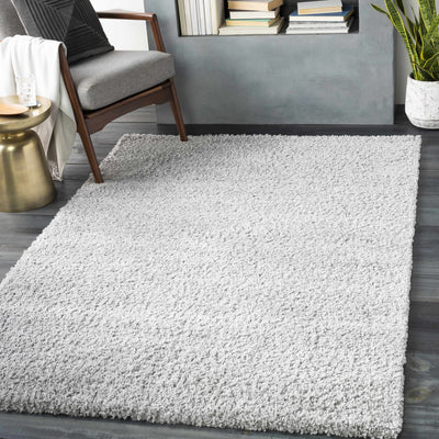Sterling Area Rug - Clearance