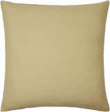 Salas Sage Green Throw Pillow