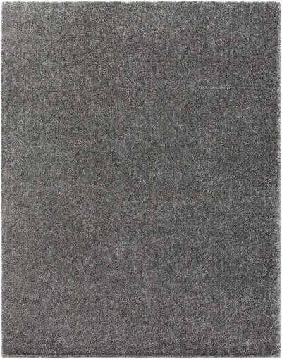 Southwater Area Rug - Clearance