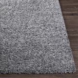 Southwater Area Rug - Clearance