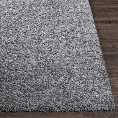 Southwater Area Rug - Clearance