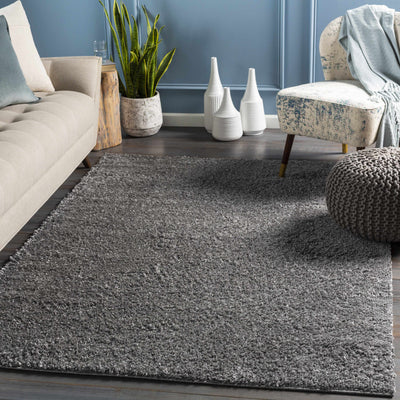 Southwater Area Rug - Clearance