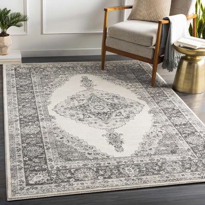 Stites Area Rug - Clearance