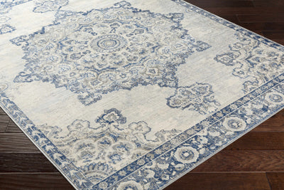 Stanfordville Area Rug - Clearance