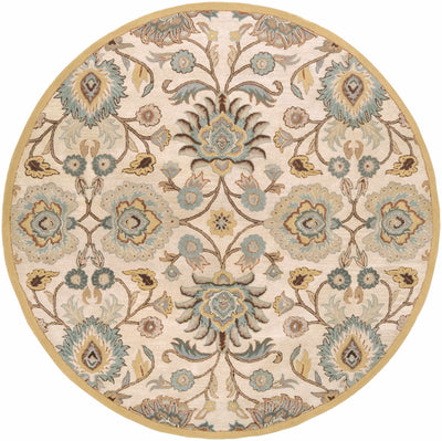 Conesus Hand Tufted Tan 1012 Wool Rug