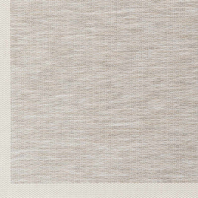 Escalon Bordered Solid Taupe Rug