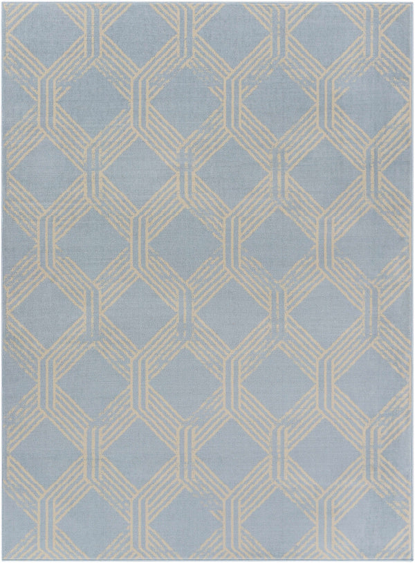 Ice Blue Boonah Area Rug - Clearance