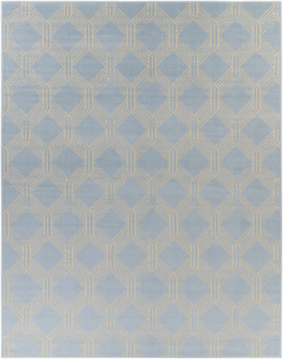 Ice Blue Boonah Area Rug - Clearance