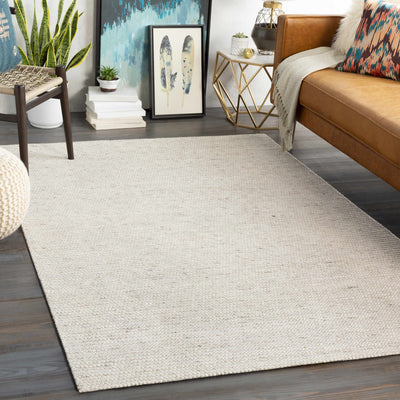 Susquehanna Area Rug - Clearance