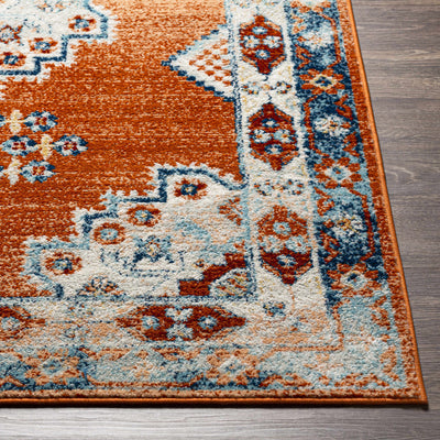 Susuz Area Rug - Clearance