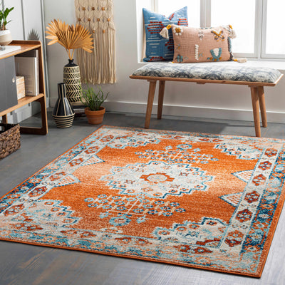 Susuz Area Rug - Clearance