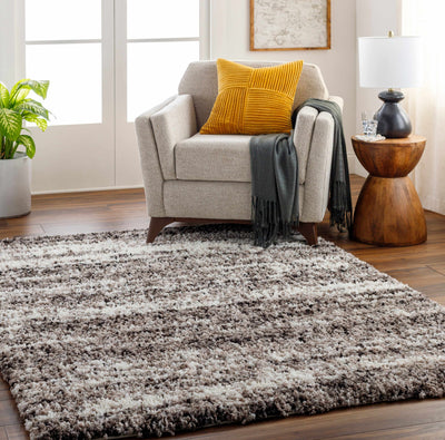 Admon Brown Plush Area Rug