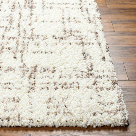 Asimo Area Rug - Clearance