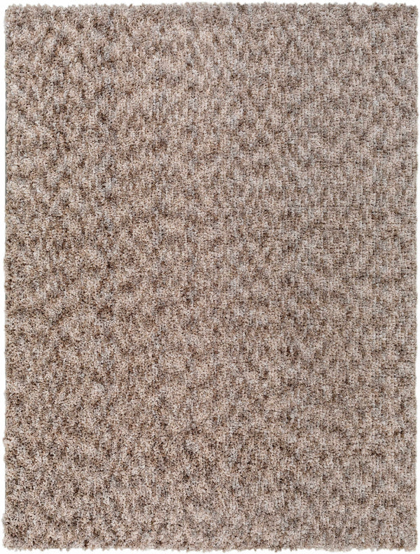 Fews Brown Plush Area Rug