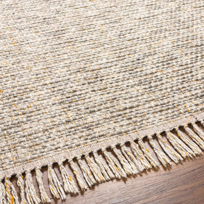 Amiel Beige Hand Woven Area Rug