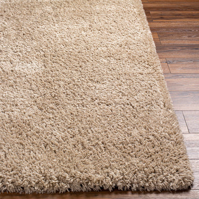 Beige Allon Area Rug - Clearance