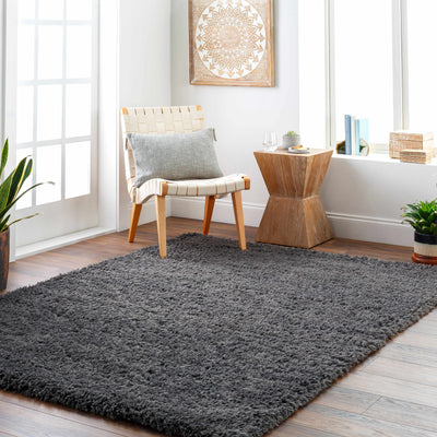 Black Allon Area Rug - Clearance