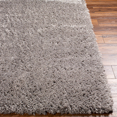 Gray Allon Area Rug - Clearance