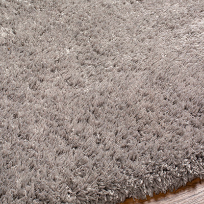 Gray Allon Area Rug - Clearance