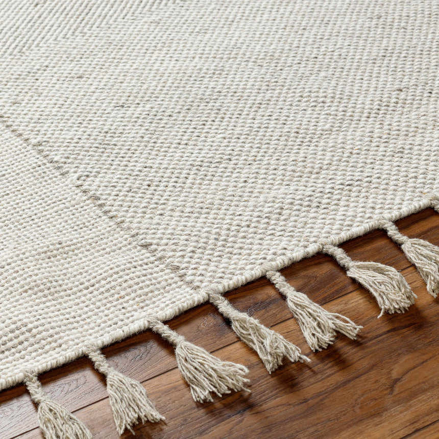 Close-up of the hand-woven Abhay Beige Wool Area Rug showing its texture and tassels on a wood floor. Texture