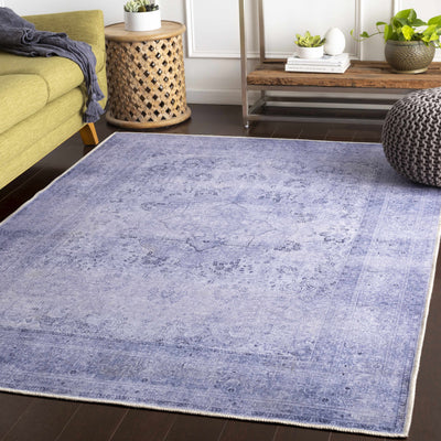 Swedeborg Washable Area Rug - Clearance