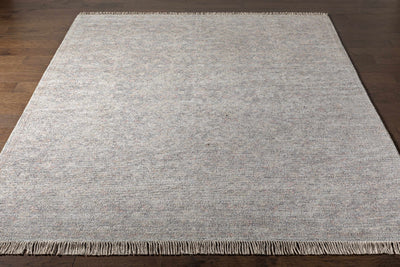 Sweeden Area Rug - Clearance