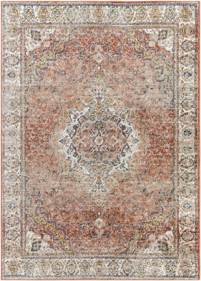 Swinford Traditional Area Rug - Clearance